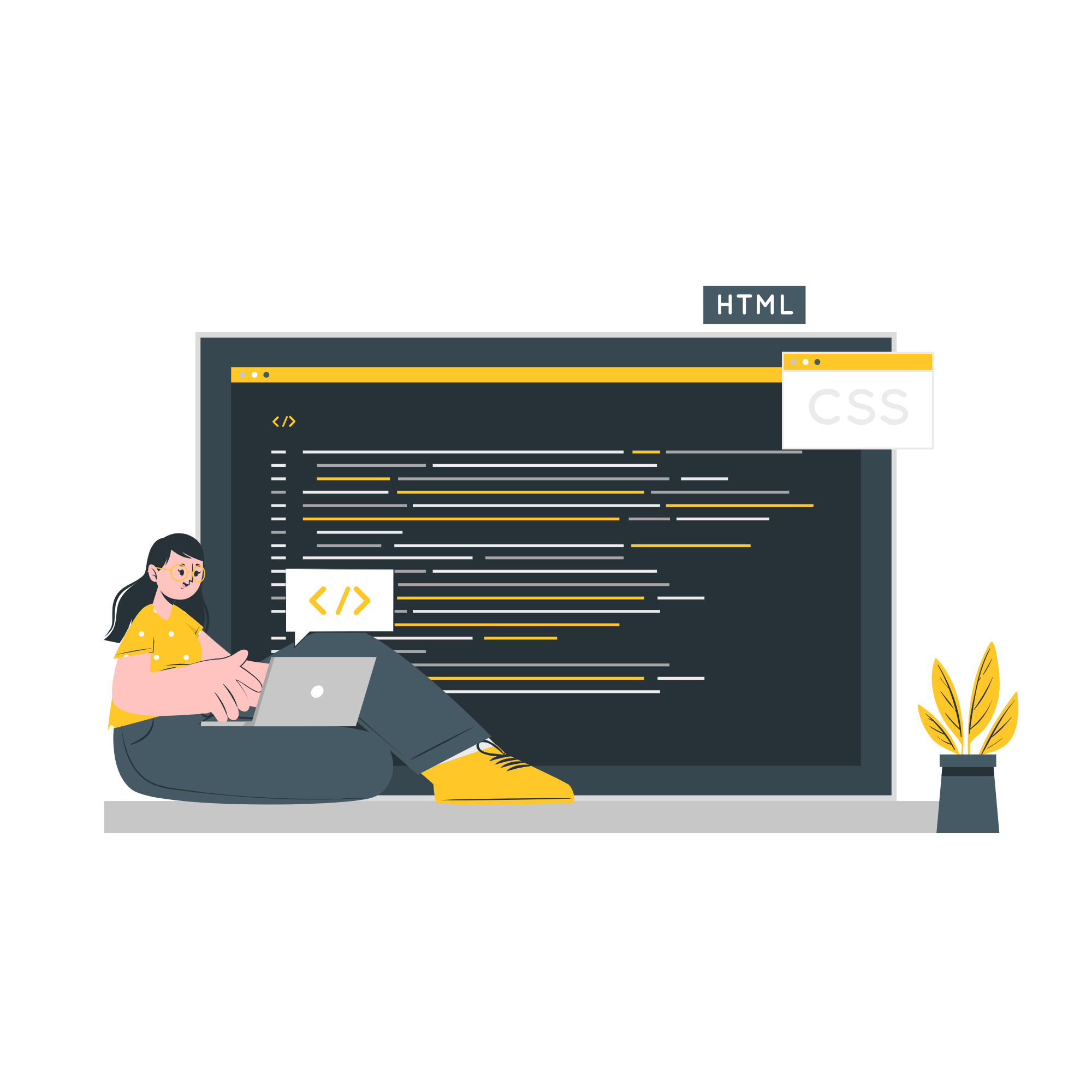 web development
